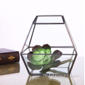 Shape Super Large Glass Terrarium Geometrisch